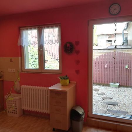 Prazdninovy Byt Arin Apartment Jáchymov Exterior foto
