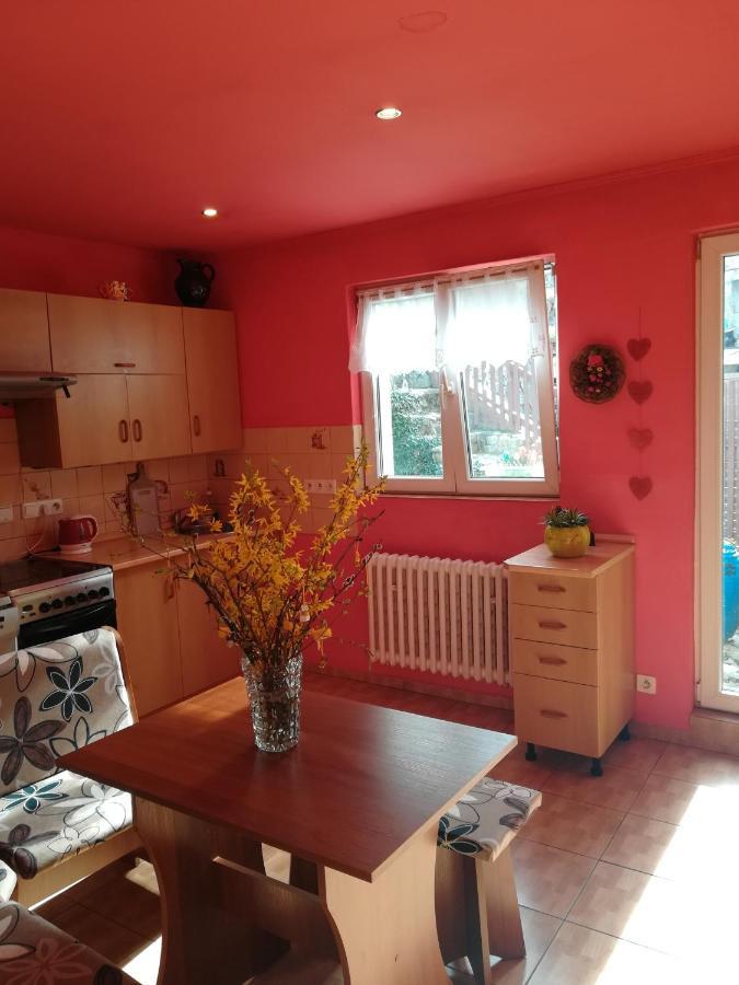 Prazdninovy Byt Arin Apartment Jáchymov Exterior foto