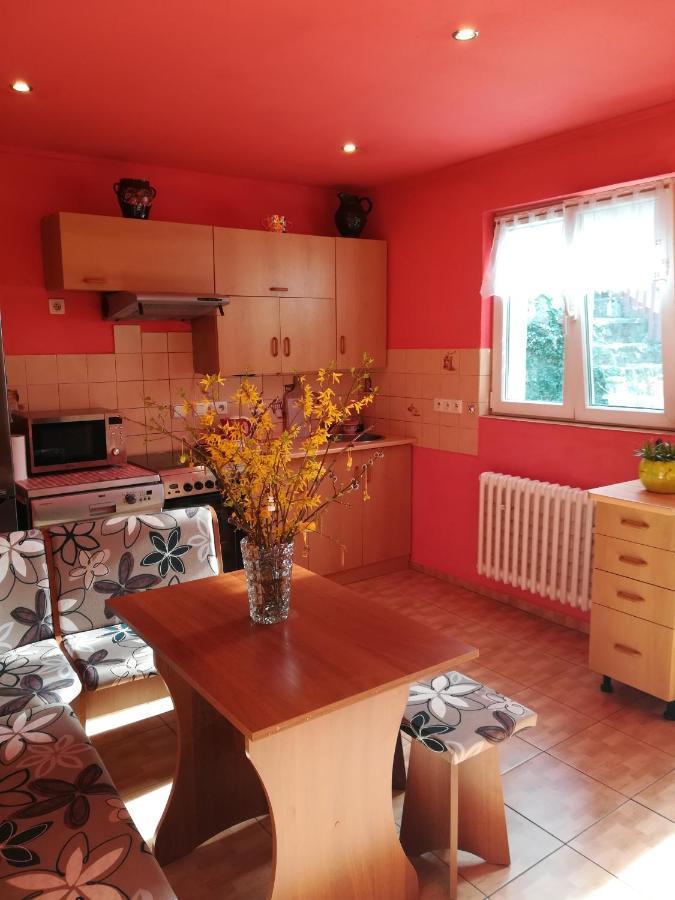 Prazdninovy Byt Arin Apartment Jáchymov Exterior foto