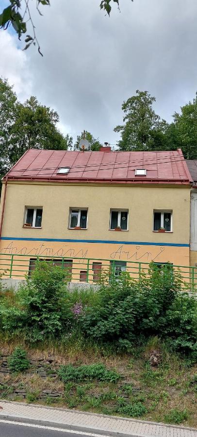 Prazdninovy Byt Arin Apartment Jáchymov Exterior foto